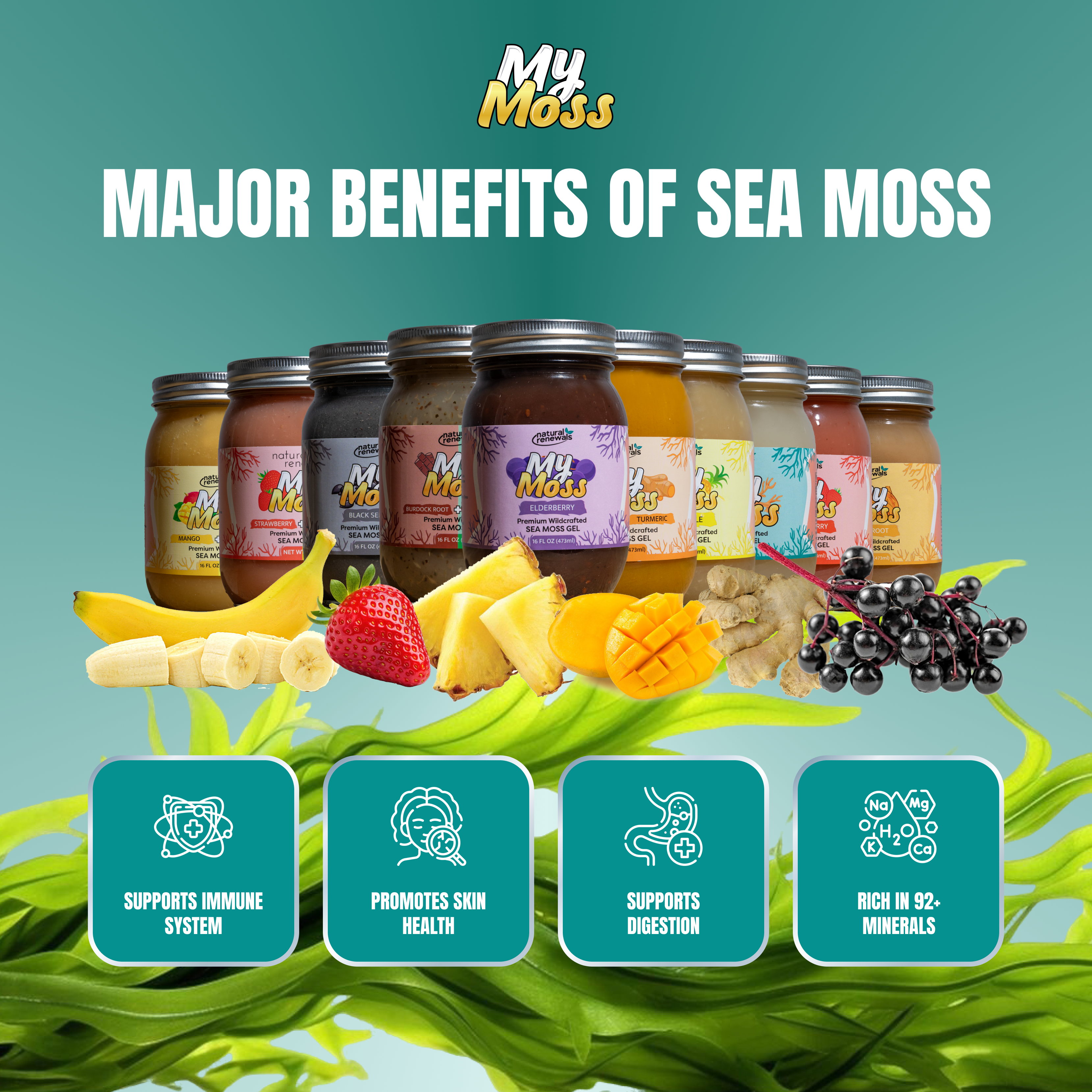 "My Moss" Sea Moss Flavor Gel - 16oz